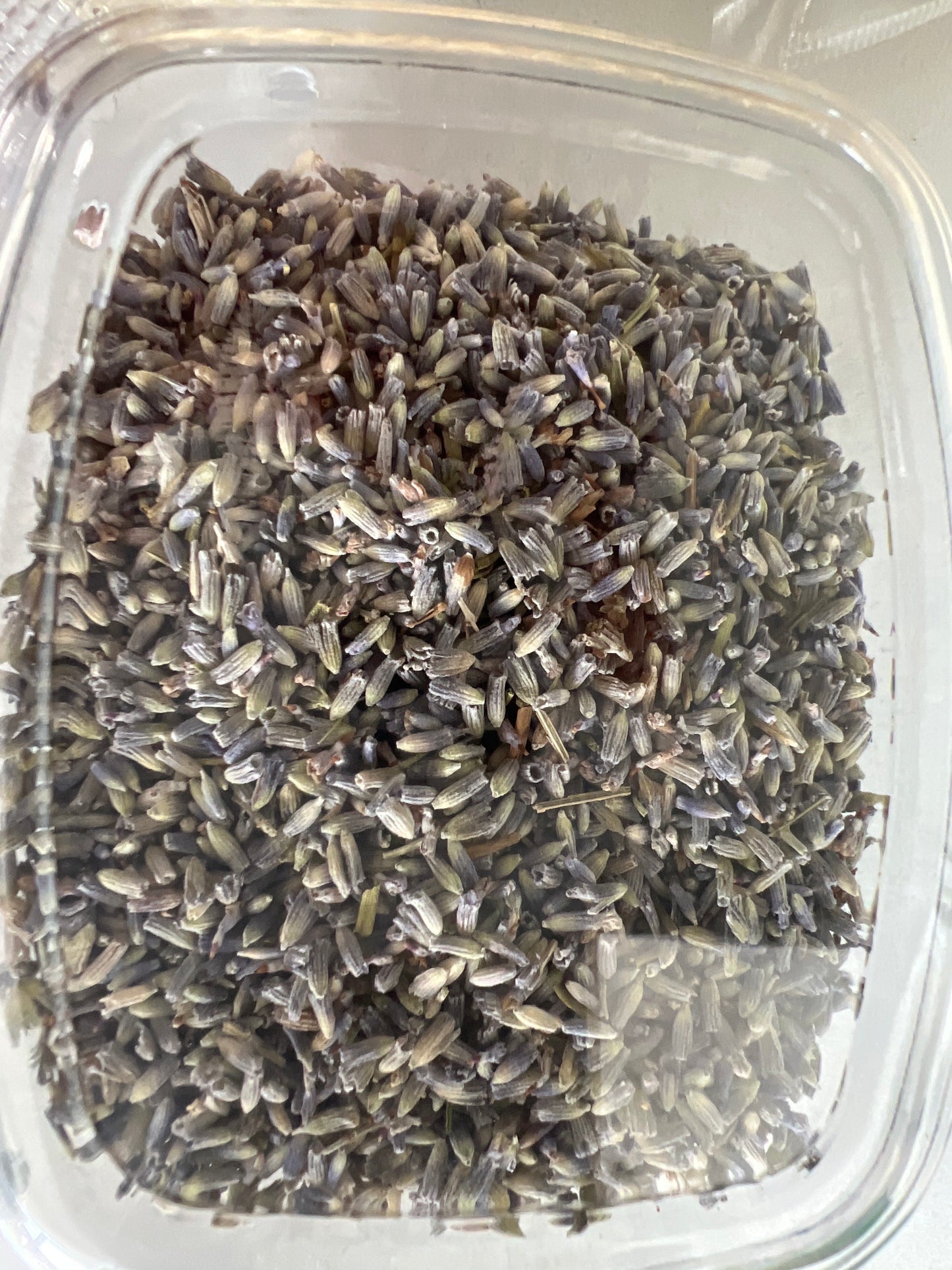 Lavender (0.2lb