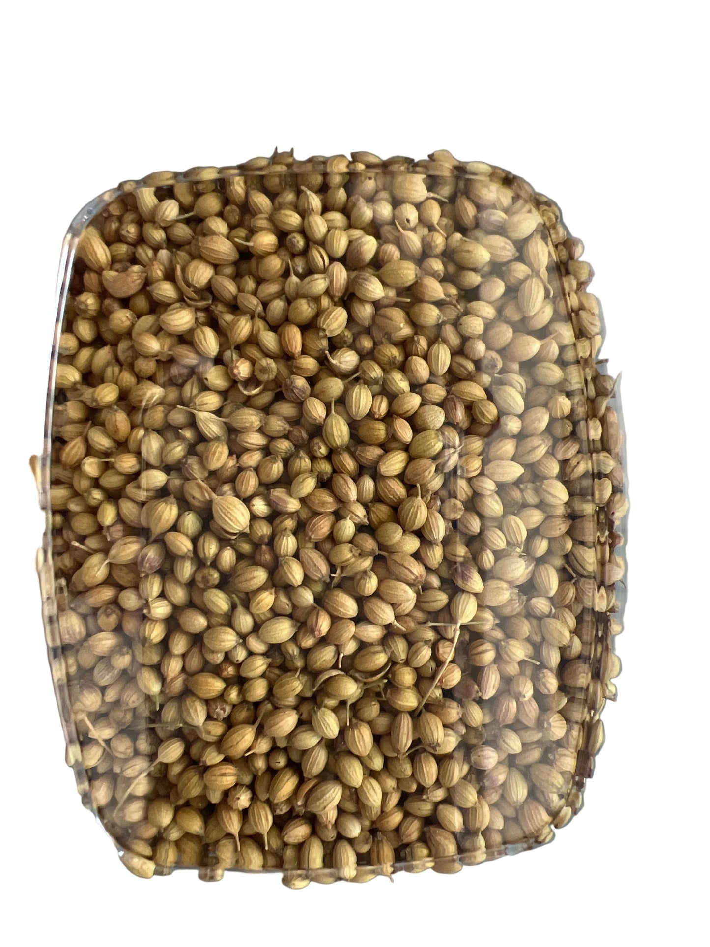 Coriander Seeds (0.2lb)